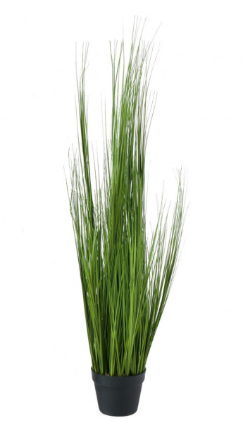 Artificial Grass in Pot